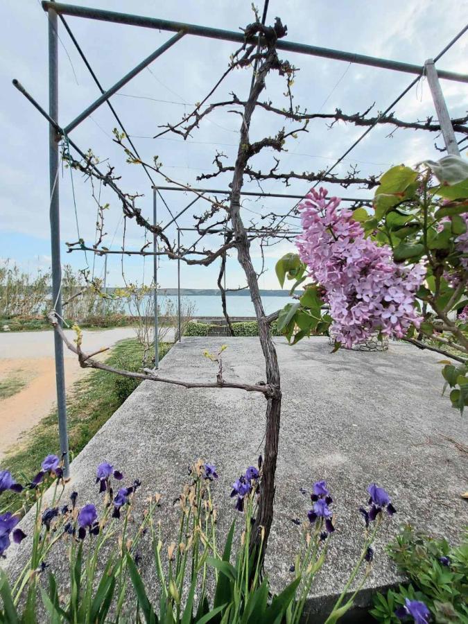 Apartmani Seaview Ljubač Zewnętrze zdjęcie